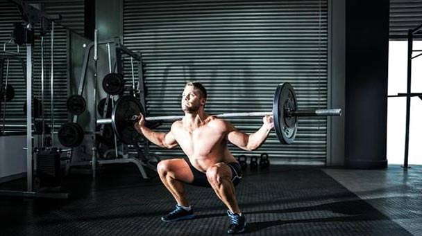 free weight squats
